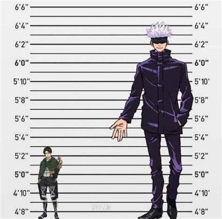 Insights Into Levi Gojo's Height